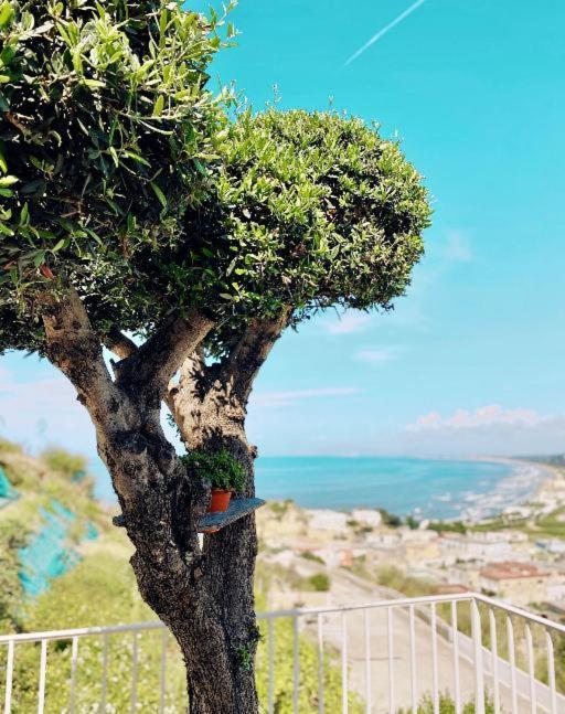 Villa Lavinum Monte di Procida Exterior foto